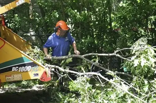 tree services Warrenton